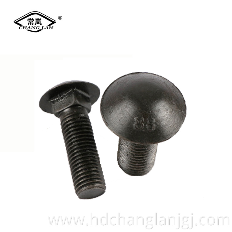 carriage bolt